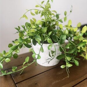 Greenery Faux Plant in White Pot